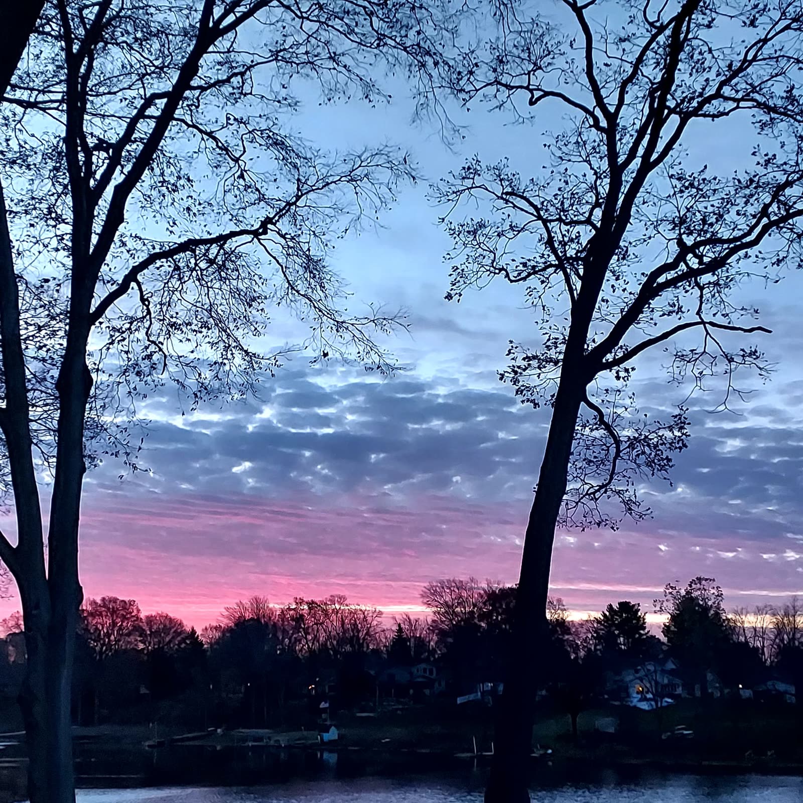 A pink and blue dusk framed between two bare silhouetted trees over a lake