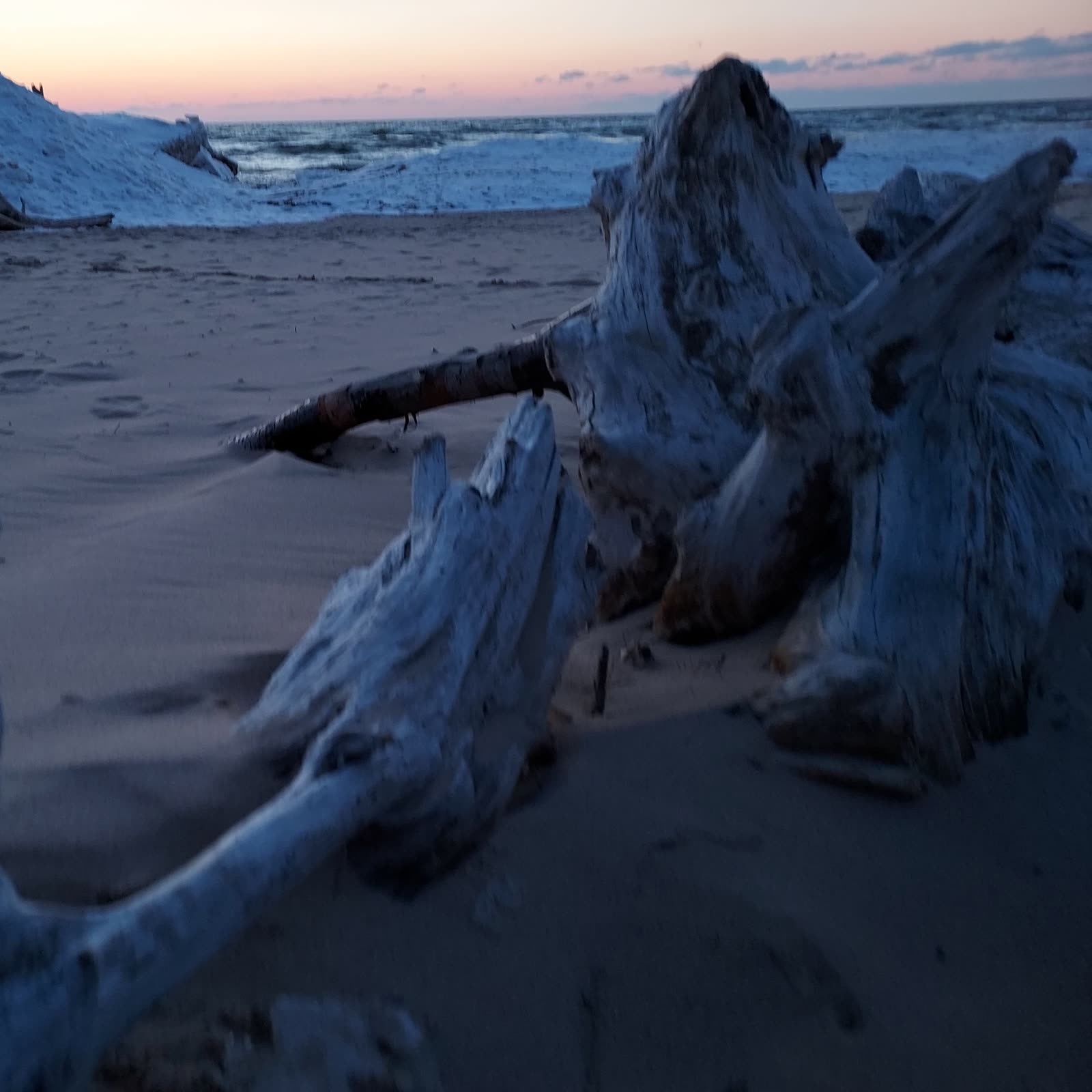 Weathered driftwood on a Lake Michigan beach at blue-hour dusk with ice at the shoreline