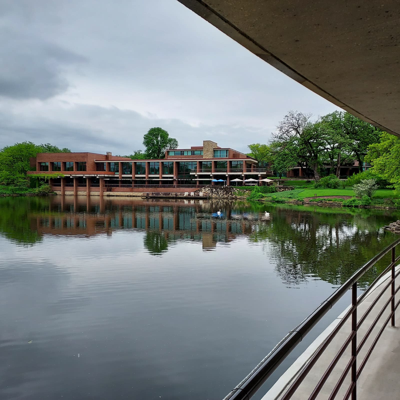 A brick modernist building mirrored in a still pond with two swans, framed under a concrete overhang